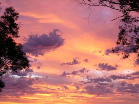 Sunset View Bb Forbes Nsw - Accommodation Broadbeach 0