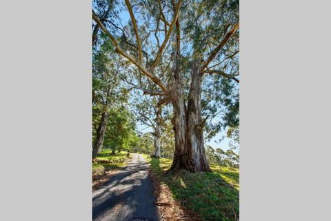 WOOLWAY - Accommodation Broadbeach 2