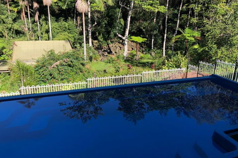 1 Bedroom Home Surrounded By Nature - Accommodation Broadbeach 1