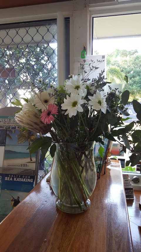 Ocean View Motel Bowen - Accommodation Broadbeach 4