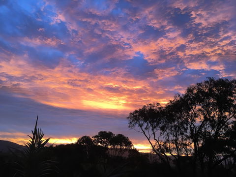 Bed & Breakfast At Kiama - Accommodation Broadbeach 3