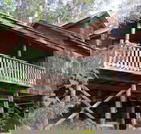 Barrington Wilderness Cedar Lodge Accommodation - Accommodation Broadbeach