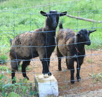Alstonville Country Cottages - Accommodation Broadbeach
