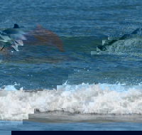 Summerhills Retreat Byron Bay - Accommodation Broadbeach