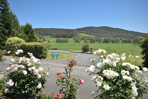 Langbrook Estate Cottages - Accommodation Broadbeach 1