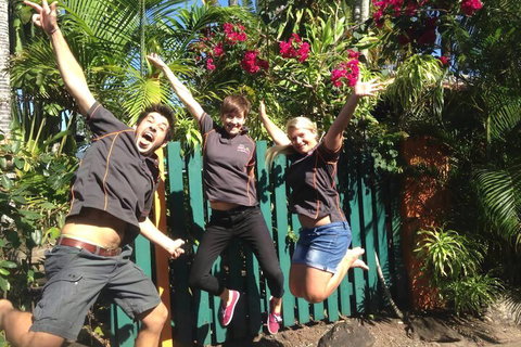 JJs Backpackers Hostel - Accommodation Broadbeach 6