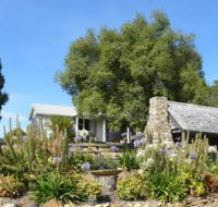 Sassafras Springs - Accommodation Broadbeach