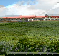 Turners Vineyard Motel and Function Centre - Accommodation Broadbeach