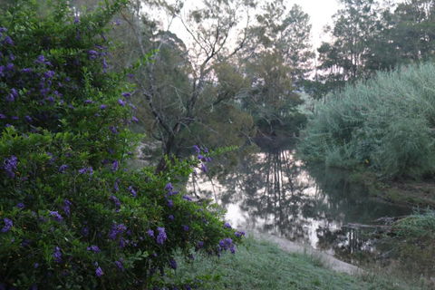 Serendipity On Allyn - Accommodation Broadbeach 7
