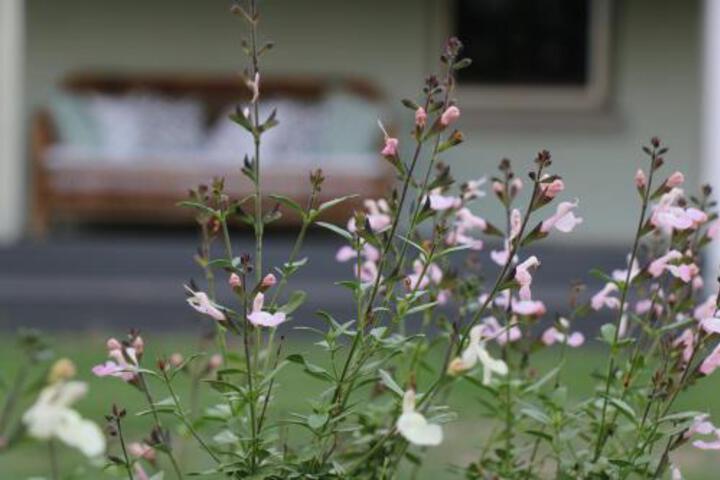 Gresford ACT Accommodation Broadbeach