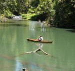 Figtree Getaway