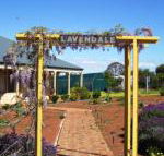Lavendale Farmstay  Cottages York - Accommodation Broadbeach