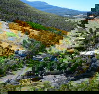 Hillside Bed  Breakfast - Accommodation Broadbeach