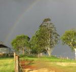 CBR Equine Cottage - Accommodation Broadbeach