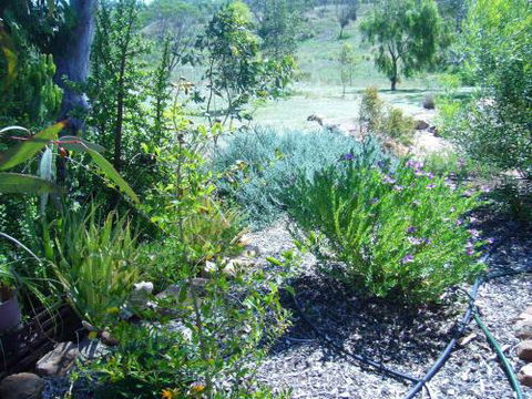 Old Miners Cottages Bed & Breakfast - Accommodation Broadbeach 3