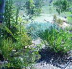 Old Miners Cottages Bed  Breakfast - Accommodation Broadbeach