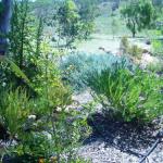 Old Miners Cottages Bed & Breakfast - Accommodation Broadbeach 0