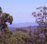 Ravensbourne Escape Cedar Lodge - Accommodation Broadbeach