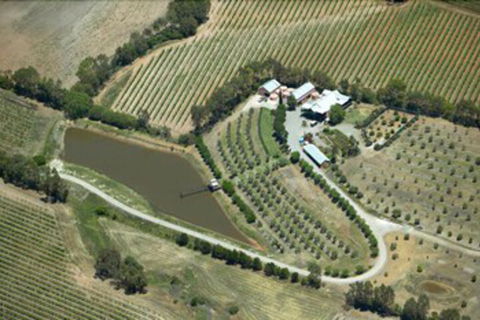 Patly Hill Farm - Accommodation Broadbeach 1