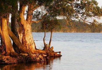 NRMA Myall Shores Holiday Park - Accommodation Broadbeach 2