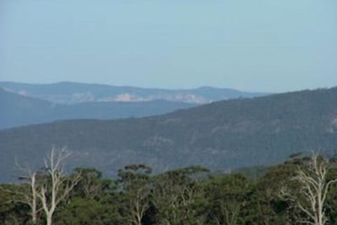 Jenolan Cabins - Accommodation Broadbeach 5