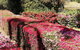Kiwarrak Country Retreat - thumb 5