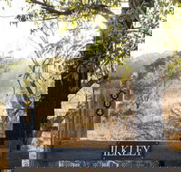 Ilkley Cottages - Accommodation Broadbeach