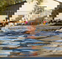 Riverside Cabin Park - Accommodation Broadbeach