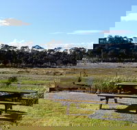 Pelican Point Sanctuary - Accommodation Broadbeach