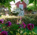 A Country Barn Retreat - Accommodation Broadbeach