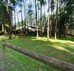 Fernglade on Menzies - Accommodation Broadbeach