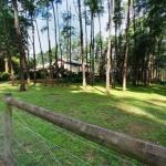 Fernglade On Menzies - Accommodation Broadbeach 0