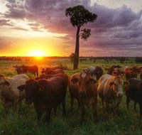 Myella Farm Stay - Accommodation Broadbeach