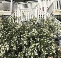 Glen Aplin Gardens BB - Accommodation Broadbeach