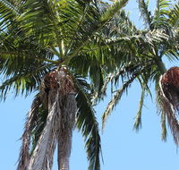 Tri Byron Bay - Accommodation Broadbeach