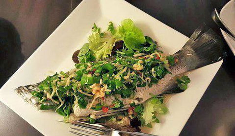 Paladarr - Accommodation Broadbeach 15