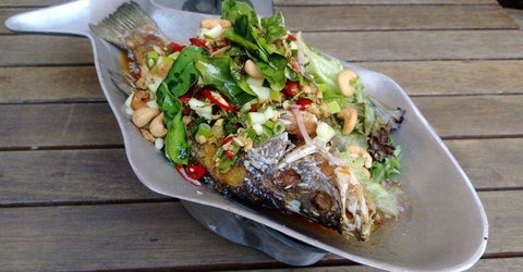 Paladarr - Accommodation Broadbeach 8