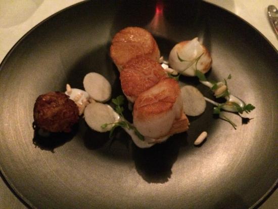 Clubs Noosa Heads QLD Accommodation Broadbeach