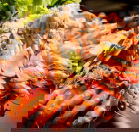 Table 30 - Accommodation Broadbeach