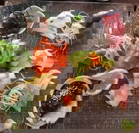 Toshi's Japanese Restaurant - Accommodation Broadbeach