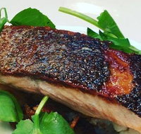 The Shaggy Cow - Accommodation Broadbeach