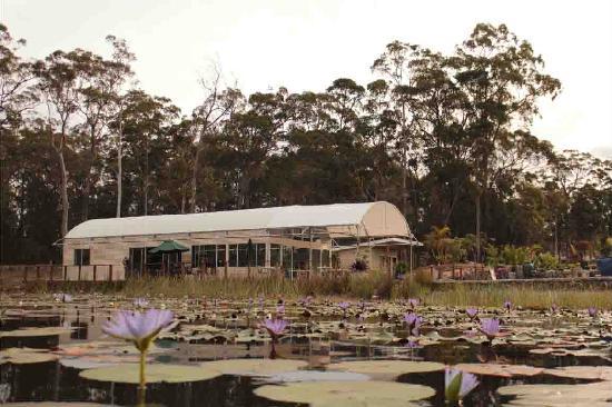 Sancrox NSW Accommodation Broadbeach