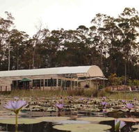Abundance Cafe and Garden Centre - Accommodation Broadbeach