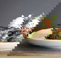 Daark Espresso Bar - Accommodation Broadbeach