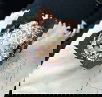 8th Nerve Cafe - Accommodation Broadbeach