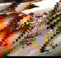 Cafe at the Hyatt Regency Perth - Accommodation Broadbeach