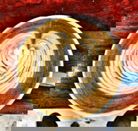 Veneziano Coffee Roasters - Accommodation Broadbeach