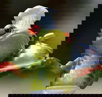 The Lillipad Cafe - Accommodation Broadbeach