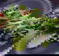 Bellbird - Accommodation Broadbeach