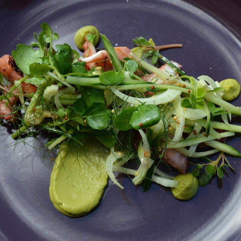 Bellbird - Accommodation Broadbeach 0